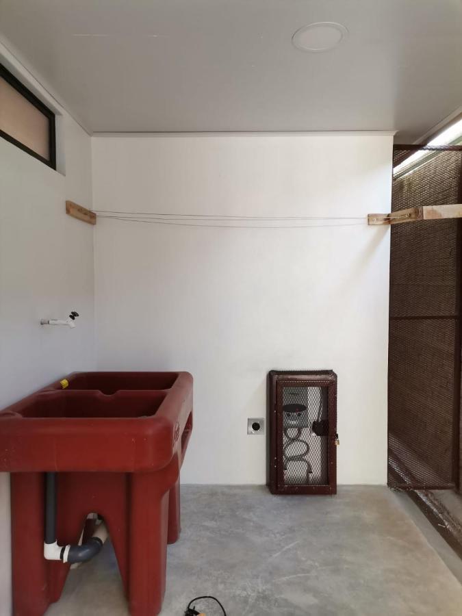 Kapaliz Apartment Tigre  Exterior photo